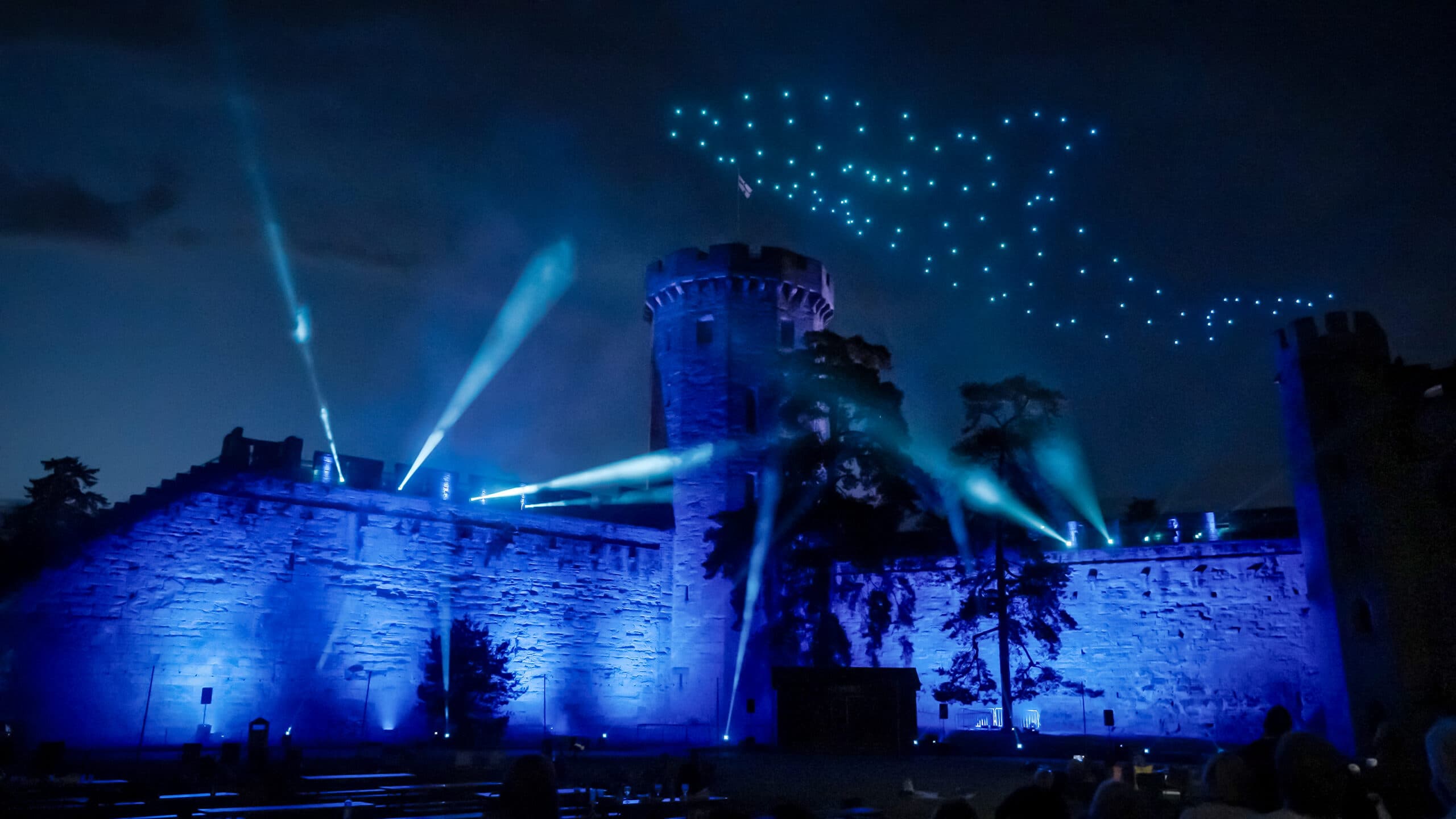 Dolphin aerial visual over the sea, illustrating creative concept work during a drone show brief